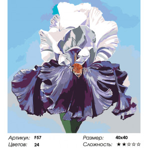 Количество цветов и сложность Пышный ирис Раскраска по номерам на холсте Живопись по номерам F57