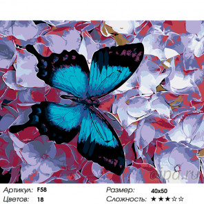 Количество цветов и сложность Морфо на фиалках Раскраска по номерам на холсте Живопись по номерам F58