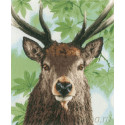 Proud red deer Набор для вышивания LanArte