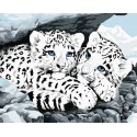 Детеныши снежного леопарда Раскраска по номерам на холсте Iteso