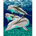 Дельфины Раскраска по номерам на холсте