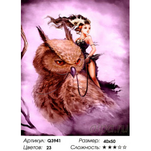 Количество цветов и сложность Девушка верхом на филине Раскраска картина по номерам на холсте Q3941