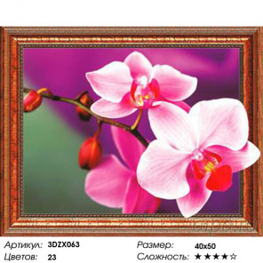 Количество цветов и сложность Алмазная мозаика 3D 40x50 3DZX063