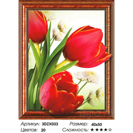 Количество цветов и сложность Алмазная мозаика 3D 40x50 3DZX033