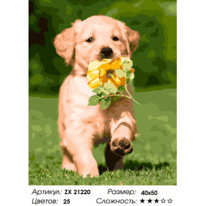 Количество цветов и сложность Смышленый щенок Раскраска картина по номерам на холсте ZX 21220