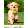 Количество цветов и сложность Смышленый щенок Раскраска картина по номерам на холсте ZX 21220