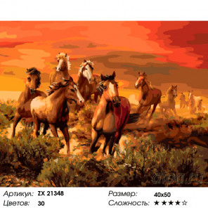 Количество цветов и сложность Табун бегущих лошадей Раскраска картина по номерам на холсте ZX 21348