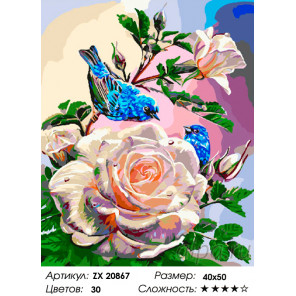  Птицы на розах Раскраска картина по номерам на холсте ZX 20867