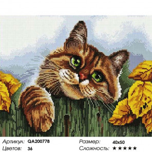  Кот на заборе Алмазная мозаика на подрамнике Painting Diamond QA200778