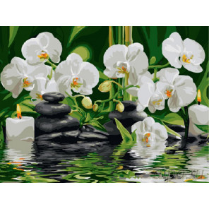  Белая орхидея Раскраска картина по номерам на холсте EX5261