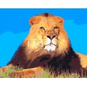 Король лев Раскраска по номерам на холсте Menglei
