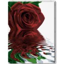 Отражение розы Раскраска на холсте по номерам Schipper (Германия)