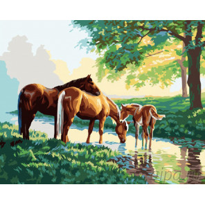  Семья лошадей у ручья Раскраска картина по номерам на холсте G154