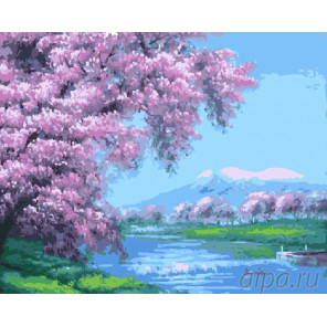 Цветущая сакура над рекой Раскраска картина по номерам на холсте G113