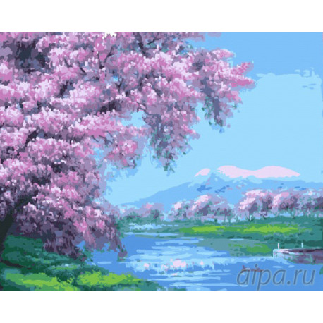  Цветущая сакура над рекой Раскраска картина по номерам на холсте G113