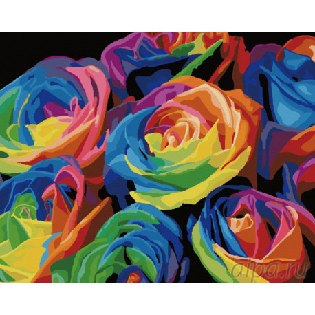  Радужный букет роз Раскраска картина по номерам на холсте G057