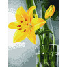  Желтая лилия Раскраска картина по номерам на холсте EX5018