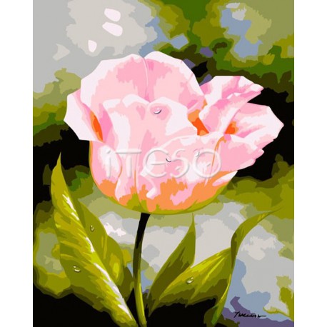 Нежный тюльпан Раскраска по номерам акриловыми красками на холсте Iteso