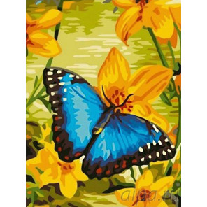  Синяя бабочка морфо Раскраска картина по номерам на холсте EX5080