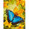 Синяя бабочка морфо Раскраска картина по номерам на холсте