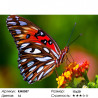 Количество цветов и сложность Яркая бабочка Алмазная частичная вышивка (мозаика) Molly KM0057