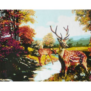 Лесной красавец Раскраска по номерам акриловыми красками на холсте Worad Art