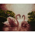 Лебеди Раскраска по номерам на холсте Worad Art