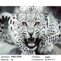 Угроза леопарда Раскраска по номерам на холсте Живопись по номерам