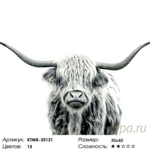 Раскладка Буйвол Раскраска по номерам на холсте Живопись по номерам KTMK-35131