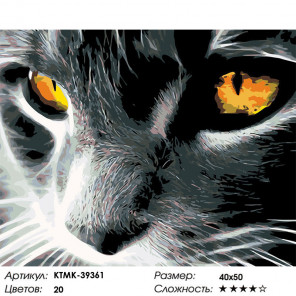  Янтарный взгляд Раскраска по номерам на холсте Живопись по номерам KTMK-39361