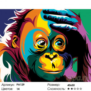 Раскладка Удивление радужной обезьяны Раскраска по номерам на холсте Живопись по номерам PA129