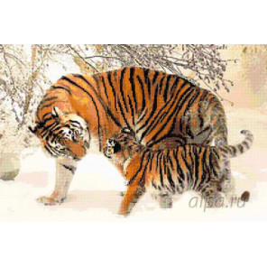 Раскладка Обучение тигренка Алмазная вышивка мозаика H19
