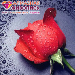 В рамке Красная роза Алмазная вышивка мозаика АЖ-0014
