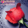  Красная роза Алмазная вышивка мозаика АЖ-0014