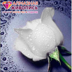 В рамке Белая роза Алмазная вышивка мозаика АЖ-0024