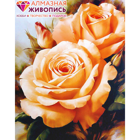  Чайные розы Алмазная вышивка мозаика АЖ-1132