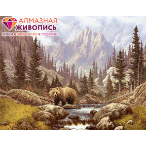 В рамке Медведь на воле Алмазная вышивка мозаика АЖ-1142