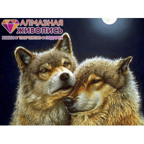 В рамке Волк и волчица Алмазная вышивка мозаика АЖ-1200