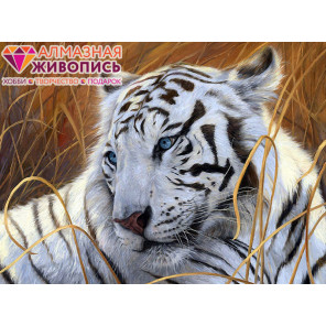  Белый тигр Алмазная вышивка мозаика АЖ-1401